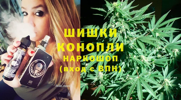 PSILOCYBIN Балахна
