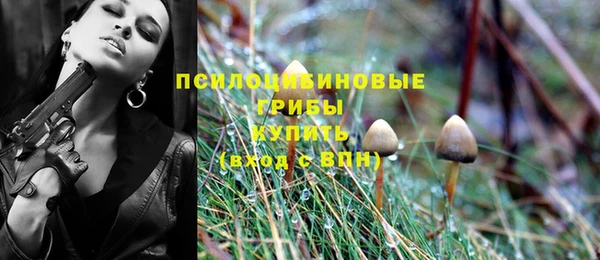 PSILOCYBIN Балахна