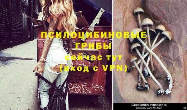 прущий лед Армянск